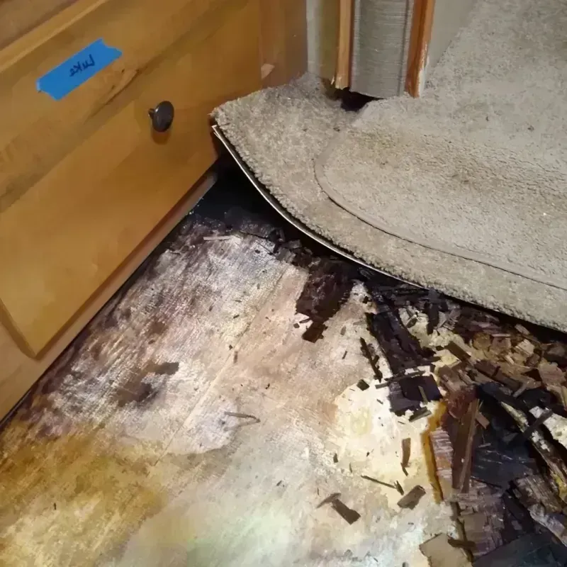 Wood Floor Water Damage in Waskom, TX